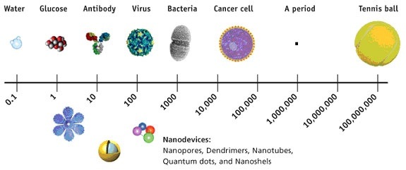 scale comparison